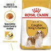 Sausā suņu barība Royal Canin Cavalier King Charles Adult 1.5 kg — Vistas gaļa, mazo šķirņu, ādai un kažokam, sirds atbalstam
