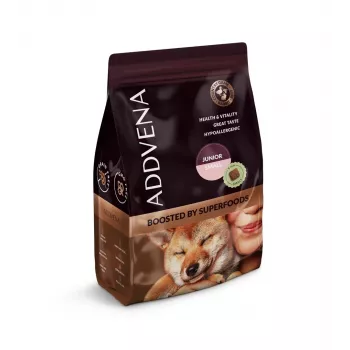 ADDVENA Boosted by superfoods Junior Small Beef - sausā suņu barība - 2,5 kg
