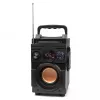 Squeak Bassblaster SQ1001 Bluetooth 5.1 skaļrunis, FM radio, MP3 atskaņotājs