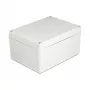 DeLOCK montāžas korpuss IP65 ūdensnecaurlaidīgs 200 x 150 x 100 mm pelēks
