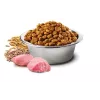 Sausā suņu barība Farmina N&D Ancestral Grain Adult Chicken 15 kg — 27% proteīns, 16% tauki