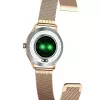 Viedpulkstenis MaxCom FW42 GOLD Zelts