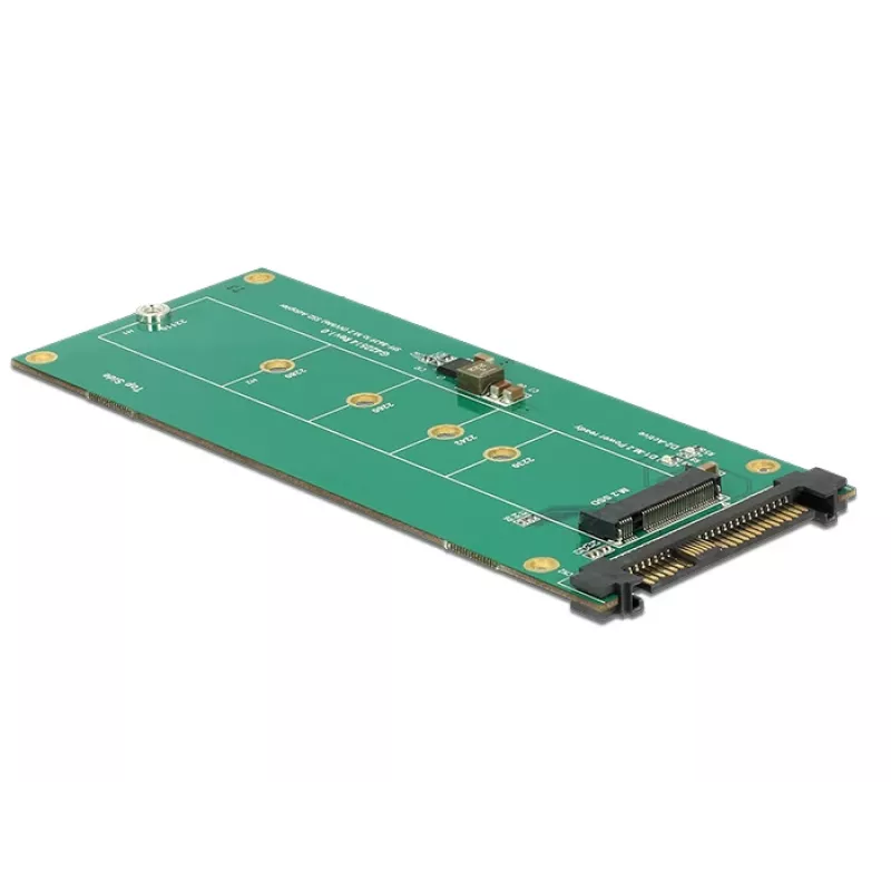 DeLOCK 62865 Iekšējais M.2 adapteris U.2–M.2 PCIe SSD
