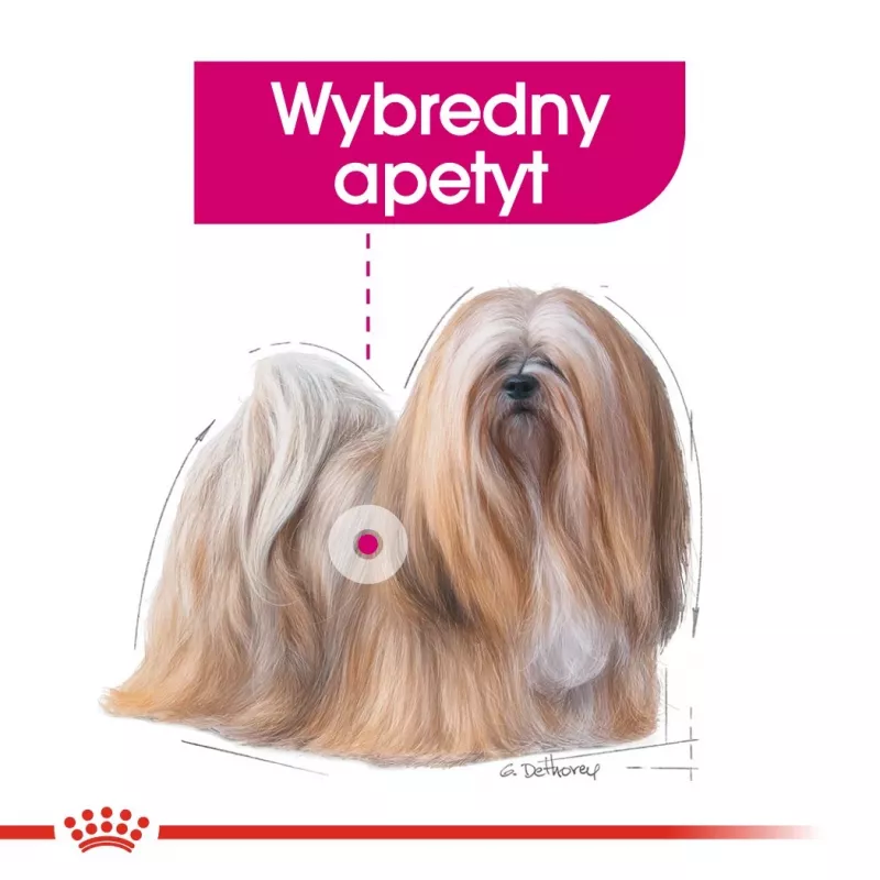 Sausā suņu barība Royal Canin Mini Exigent 1 kg — mazo šķirņu pieaugušiem suņiem
