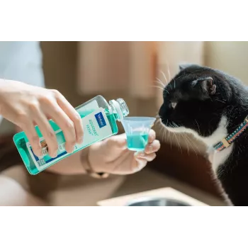 Mutes higiēnas šķīdums mājdzīvniekiem VIRBAC Aquadent mouthcare liquid 500 ml