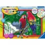 Ravensburger Krāsošana pēc numuriem - Krāsaini Papagaiļi