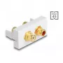 DeLOCK Easy 45 kontaktligzda 2 x RCA Balta ABS
