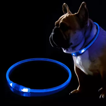 LED Apkakle KABB Zila Suņiem un Kaķiem — uzlādējama, regulējama drošības apkakle ar gaismu