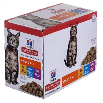 HILL'S Feline Adult Multipack Classic - maisiņš 12x85g