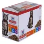HILL'S Feline Adult Multipack Classic - maisiņš 12x85g