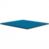 Thermal Grizzly Minus Pad Advance - 100 x 100 x 1.0 mm, 2 gab.