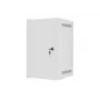 Sienas stiprinājuma skapis Lanberg WF10-2309-00S 9U 10 inch