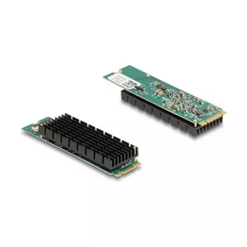 DeLOCK 95274 Iekšējā tīkla karte 10 Gbit/s M.2 PCIe