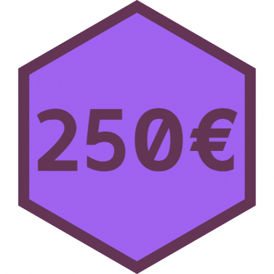 ITwork 250€ dovanų čekis - kuponas ITwork 250€ dovanų čekis - kuponas