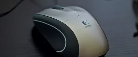 Ergonomiska pele pret plaukstas locītavas sāpēm: izvēles un iekārtošanas ceļvedis