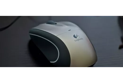 Ergonomiska pele pret plaukstas locītavas sāpēm: izvēles un iekārtošanas ceļvedis