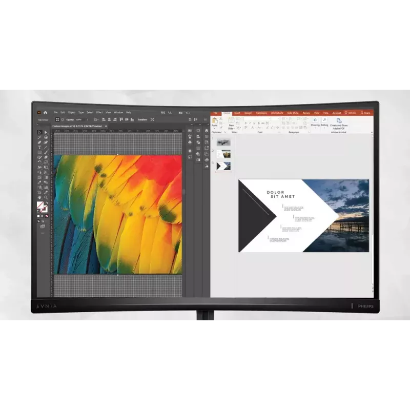 Philips Evnia 34M2C6500/00 monitors 86.4 cm (34 inch) 3440x1440 QD-OLED pelēks