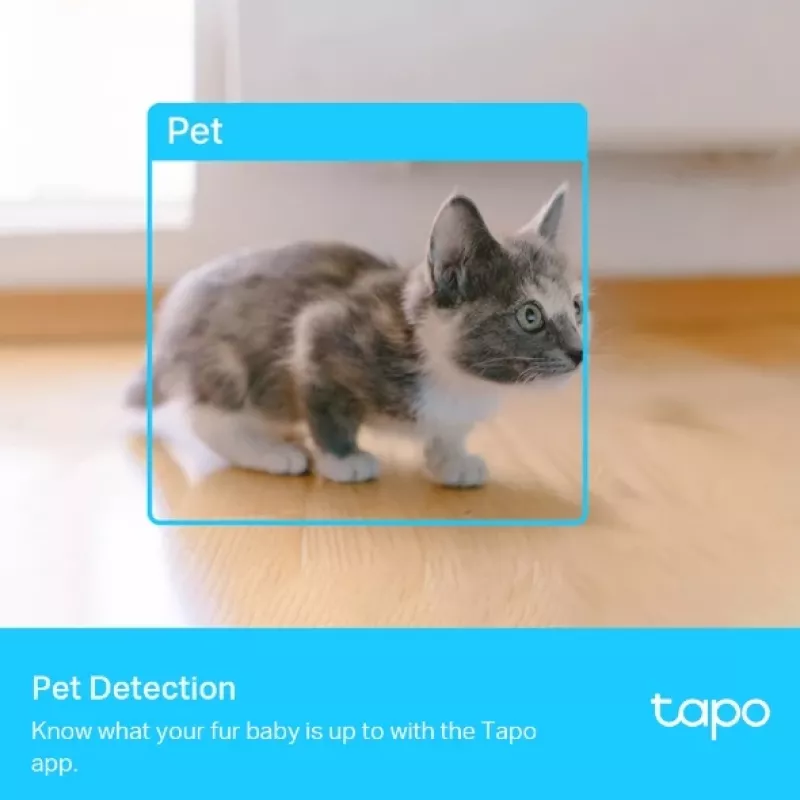 IP Drošības Kamera TP-Link Tapo C225 Standard