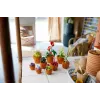 LEGO Icons Mini Plants komplekts 10329 — 9 būvējami mazi augu modeļi, 758 gabali, 18+