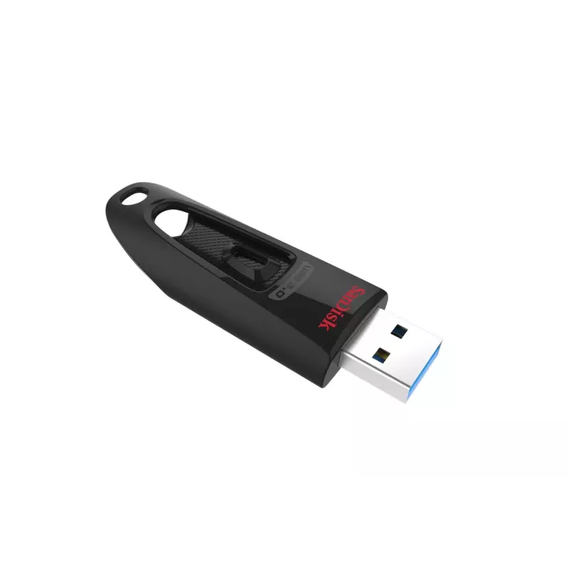 USB zibatmiņa SanDisk 64 GB USB Type-A 3.2 Gen 1 SDCZ48-064G-U46