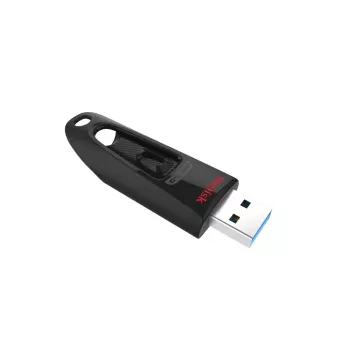 USB zibatmiņa SanDisk 256 GB USB Type-A 3.2 Gen 1 SDCZ48-256G-U46