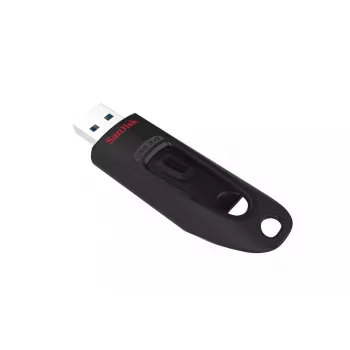 USB zibatmiņa SanDisk 256 GB USB Type-A 3.2 Gen 1 SDCZ48-256G-U46