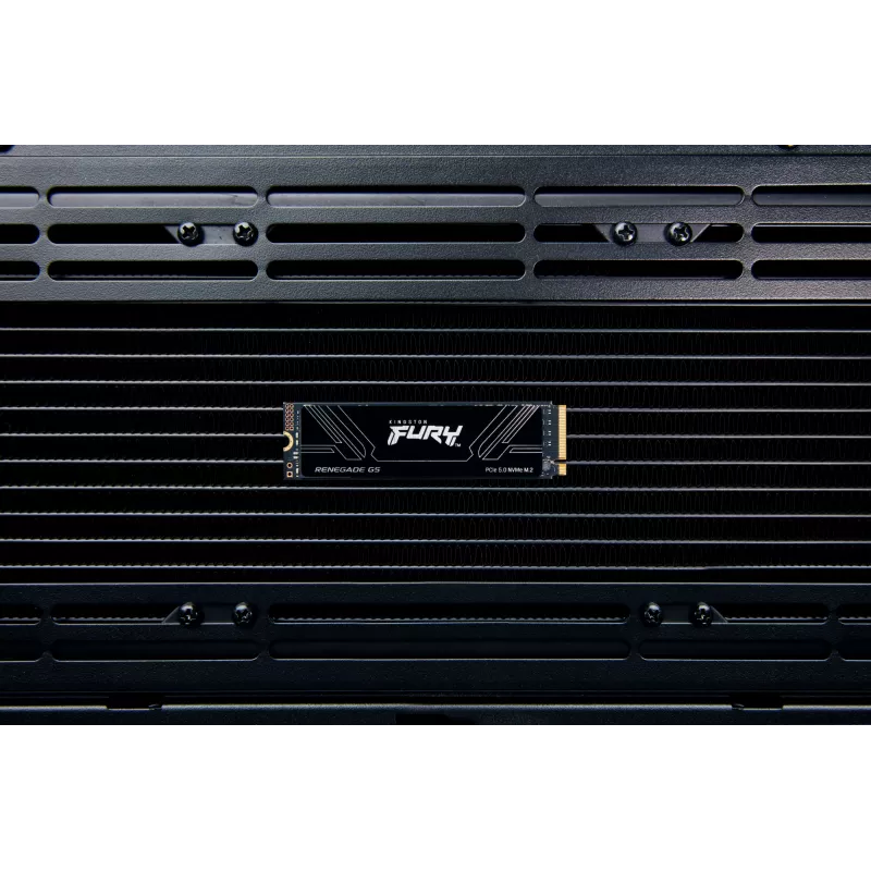 SSD disks Kingston 2TB M.2 NVMe 2280 FURY RENEGADE G5