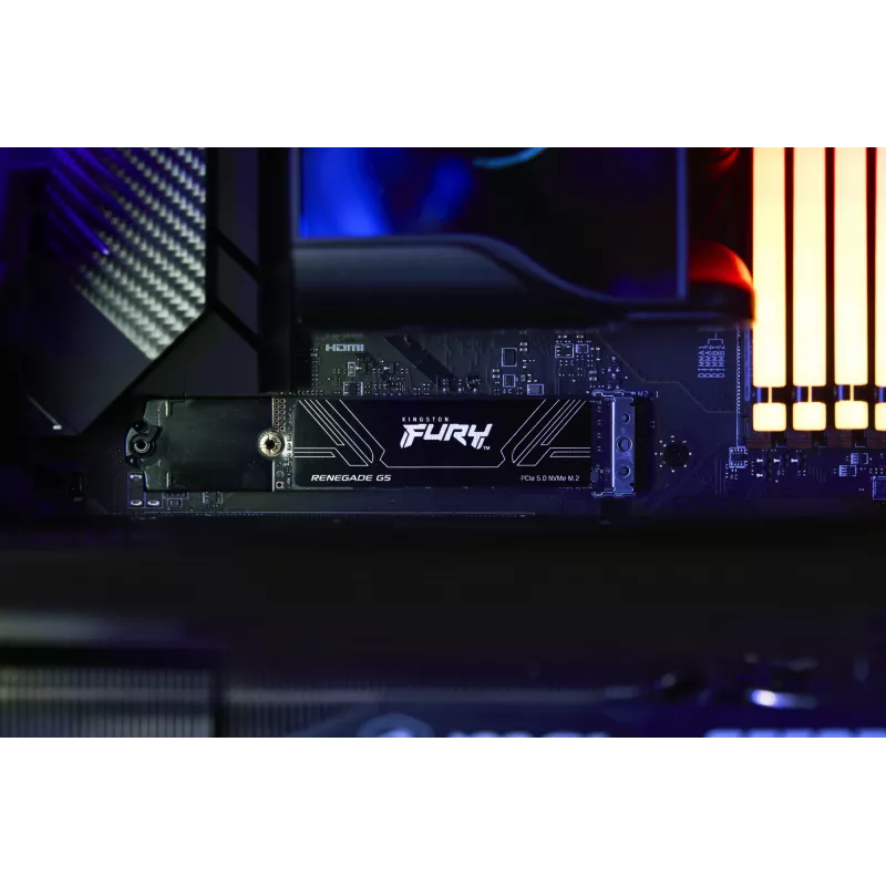 SSD disks Kingston 2TB M.2 NVMe 2280 FURY RENEGADE G5