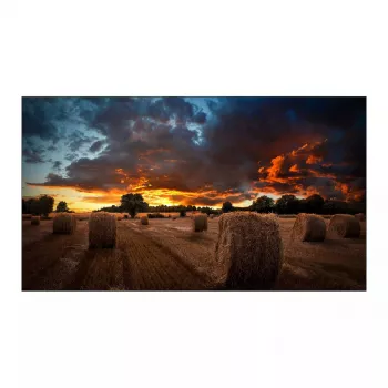 Samsung VM55B-U 55 collu Full HD LED IPS monitors 1920 x 1080, 500 cd/m², 24/7, VESA, Melns