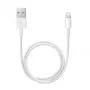 APPLE Lightning uz USB kabelis (0,5 m)