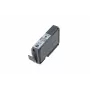 Canon PGI-9GY pelēka tintes kasetne, pigmenta tinte, 1 gab., 145 lapas