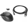 HP Wireless Premium Mouse, abpusējs, lāzera, RF bezvadu, 1200 DPI, melns