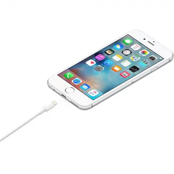 Apple USB-A uz Lightning kabelis 1m (MXLY2ZM/A)
