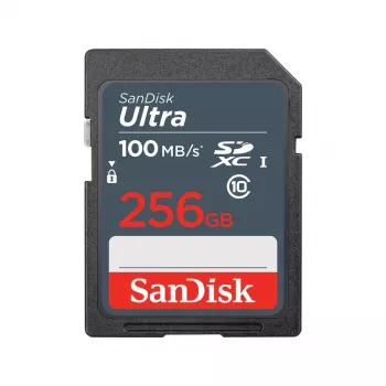 Atmiņas karte SanDisk 256GB SDXC UHS-I Class 10 SDSDUNR-256G-GN3IN