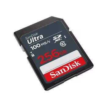 Atmiņas karte SanDisk 256GB SDXC UHS-I Class 10 SDSDUNR-256G-GN3IN