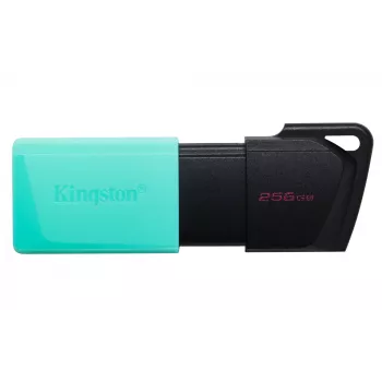 Kingston DataTraveler 256GB USB 3.2 Gen 1 Exodia M (Melns + Tirkīzzils)