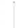 APPLE USB-C Lādēšanas Kabelis (1m)