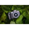 Canon EOS R8 + RF 24-50mm F4.5-6.3 IS STM komplekts, 24,2 MP, 6000 x 4000 pikseļi, CMOS, 4K Ultra HD, skārienekrāns, melns