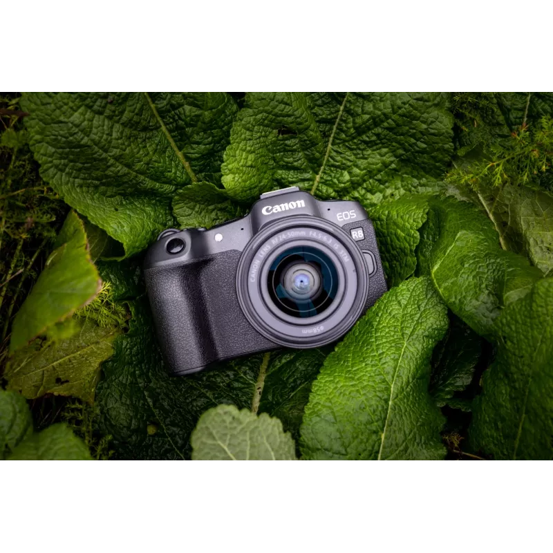 Canon EOS R8 + RF 24-50mm F4.5-6.3 IS STM komplekts, 24,2 MP, 6000 x 4000 pikseļi, CMOS, 4K Ultra HD, skārienekrāns, melns