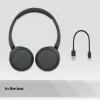 Sony WH-CH520 Bezvadu austiņas Zvanu/Mūzikas USB Type-C Bluetooth Melnas