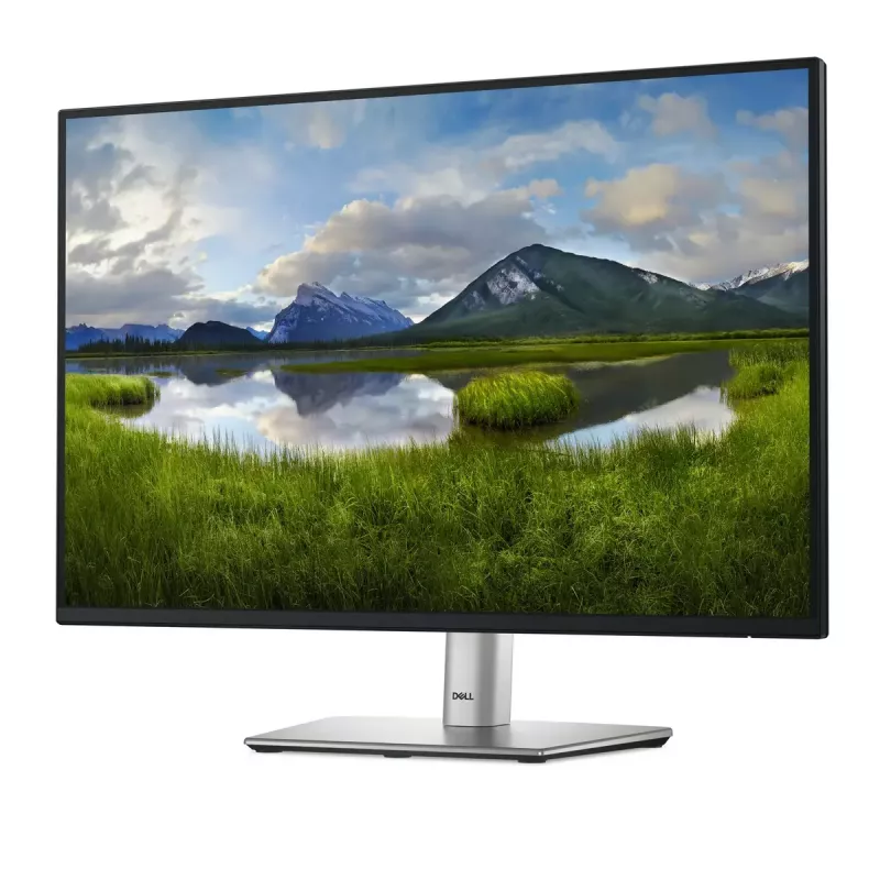 DELL Pro Plus P2425 datora monitors 61.1 cm (24.1 collas) 1920 x 1200 pikseļi WUXGA LCD Melns