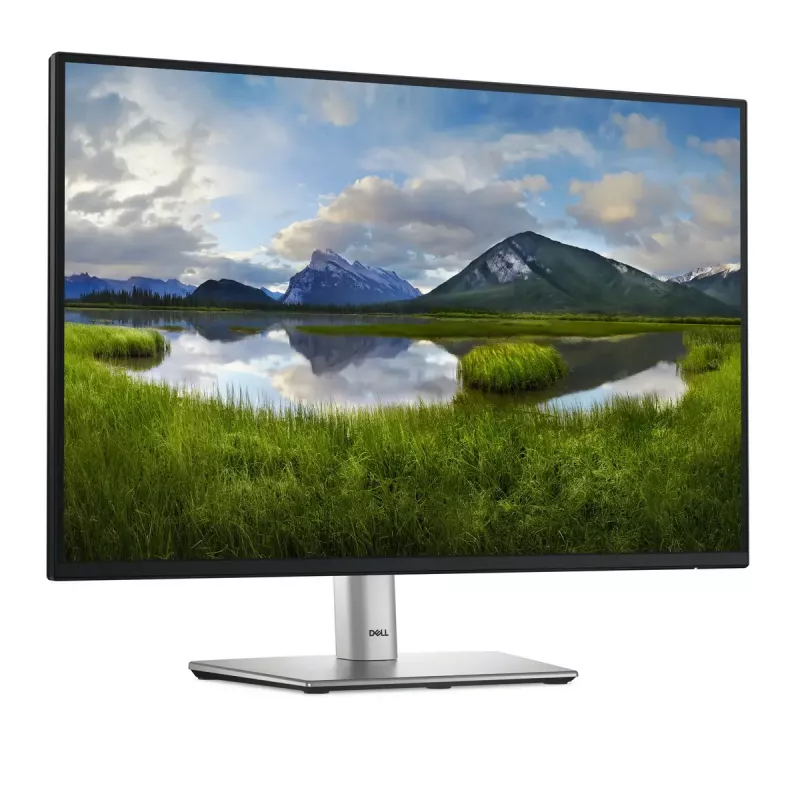 DELL Pro Plus P2425 datora monitors 61.1 cm (24.1 collas) 1920 x 1200 pikseļi WUXGA LCD Melns