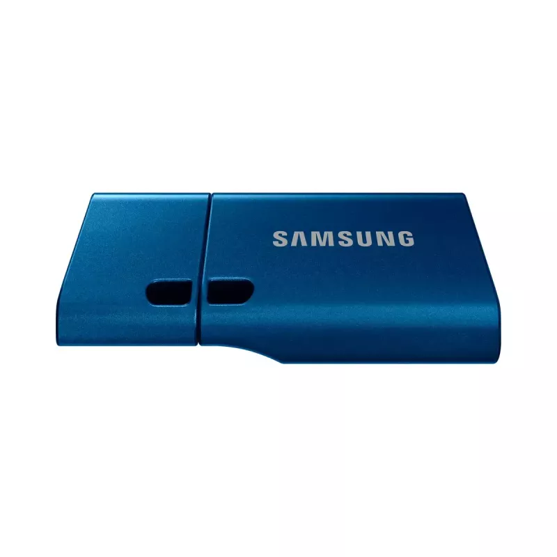 Samsung MUF-256DA USB zibatmiņa 256 GB USB Type-C 3.2 Gen 1 zila
