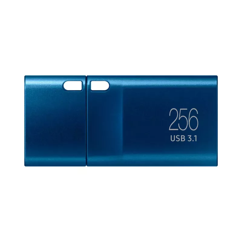 Samsung MUF-256DA USB zibatmiņa 256 GB USB Type-C 3.2 Gen 1 zila