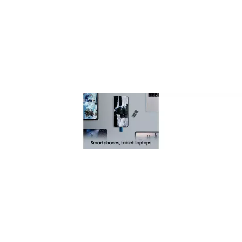 Samsung MUF-256DA USB zibatmiņa 256 GB USB Type-C 3.2 Gen 1 zila