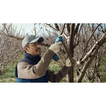 Bosch Pro Pruner Professional bezvadu zāles šķēres 2.5 cm 12 V Litija-Jonu (Li-Ion) Zila