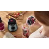 Bosch VitaPower MMB2111S blenderis 0.6 L Galda blenderis 450 W Sudrabs