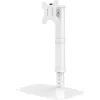 Techly ICA-LCD 260 monitora statīvs 68.6 cm (27 collas) Galda Balts