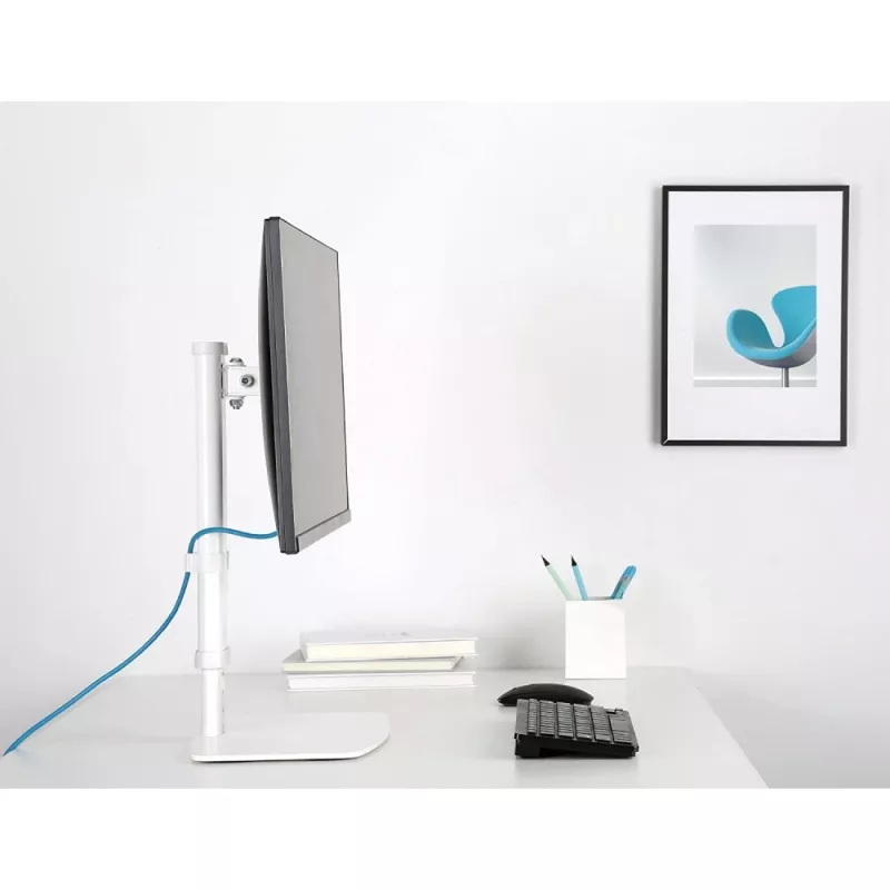 Techly ICA-LCD 260 monitora statīvs 68.6 cm (27 collas) Galda Balts