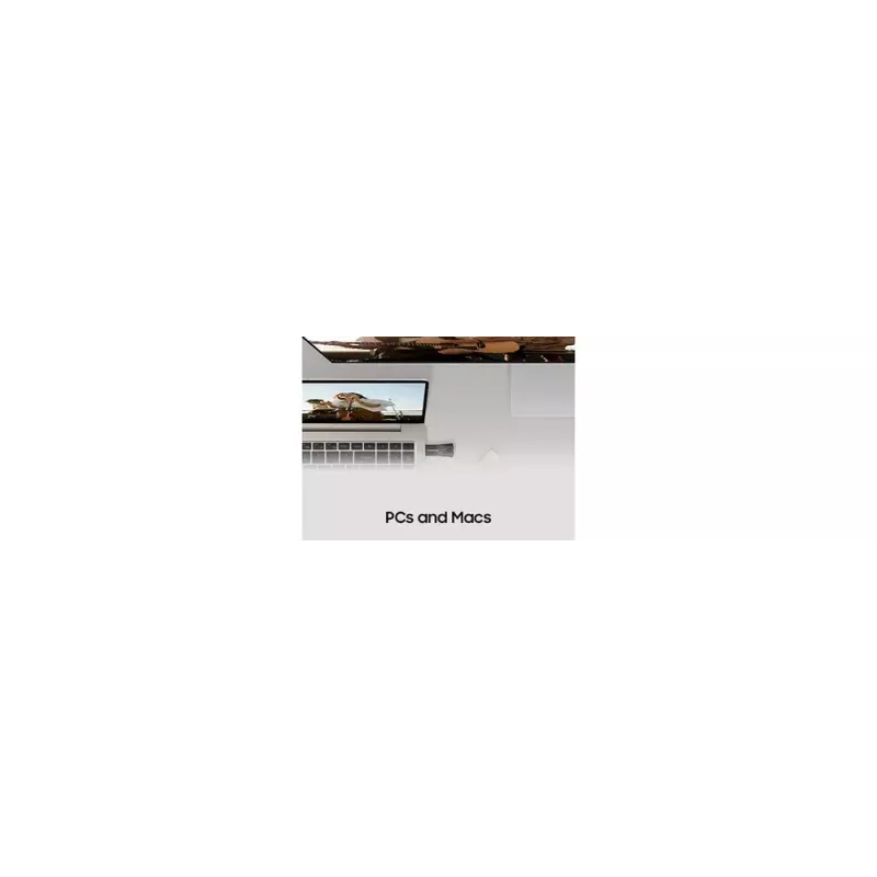Samsung MUF-256BE USB zibatmiņa 256 GB USB Type-A 3.2 Gen 1 (3.1 Gen 1) Pelēka